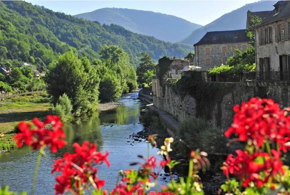 Piscine, Et Nature - Sejour Classe Apartment *
